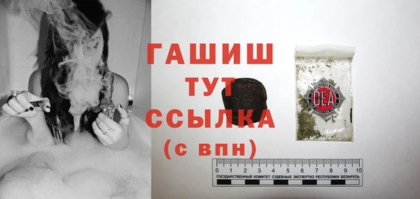 Альфа ПВП Верея