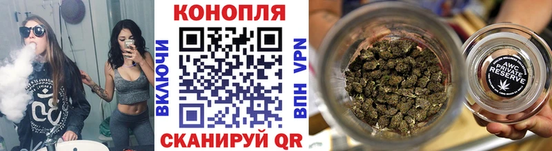 Бошки Шишки планчик darknet клад Прокопьевск